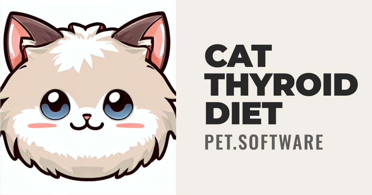 Caring for Your Cat with Thyroid Issues The Important Role of Diet Pet Health, Care, Tech